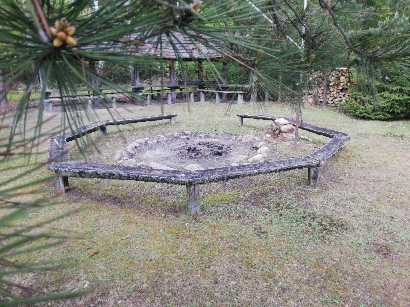 Agroturystyka "Lesne Zacisze Na Podlasiu" Tuczna Exteriér fotografie