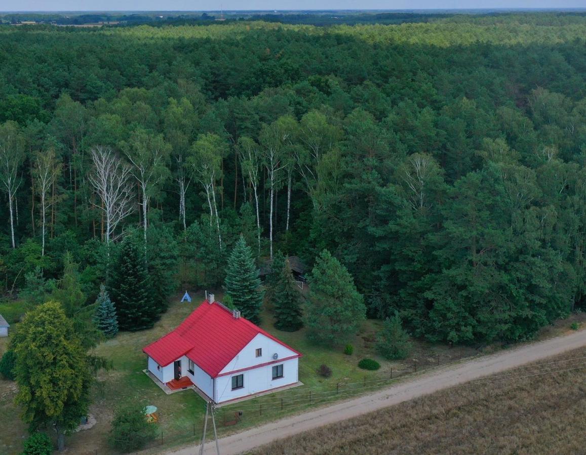 Agroturystyka "Lesne Zacisze Na Podlasiu" Tuczna Exteriér fotografie